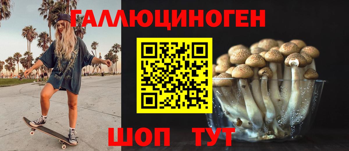 Псилоцибиновые грибы GOLDEN TEACHER  Псилоцибиновые грибы ЛСД  Вход с VPN  Кировск 